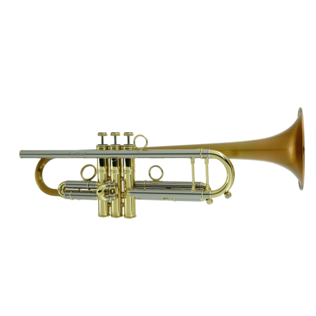 Just in Stock! The Adorable Carolbrass Mini C Pocket Trumpet in Lacquer!