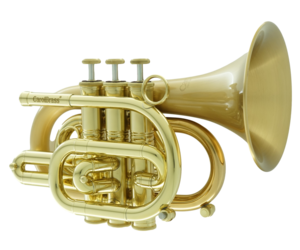 Pocket Trumpet & Full-Sized Trumpet Compared, CarolBrass 