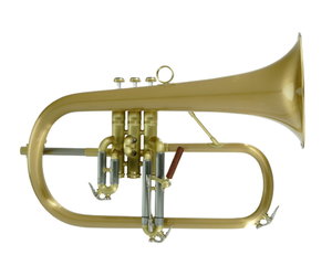 carolbrass-carolbrass-
