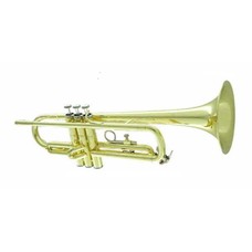 CarolBrass CarolBrass Beginner Trumpet with Yellow Brass Lacquer Finish CTR-1000H-YSS-Bb-L