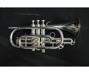 carolbrass-carolbrass-