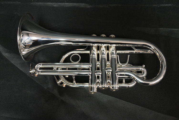 CarolBrass CarolBrass Intermediate Cornet CCR-3880-GSS-Bb-S