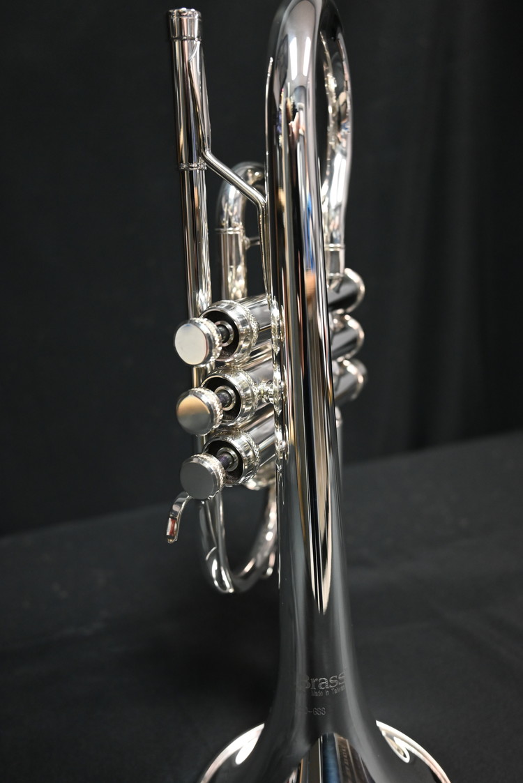 CarolBrass CarolBrass Intermediate Cornet CCR-3880-GSS-Bb-S