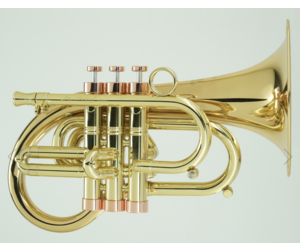 carolbrass-carolbrass-pocket-