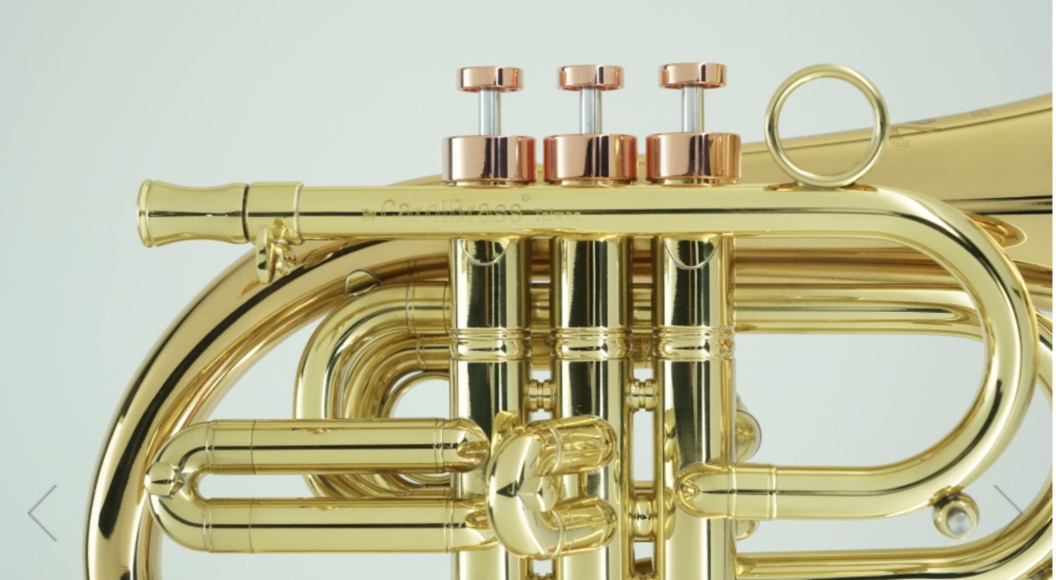 Caros Brass Taylor Phat Puppy-L - CarolBrass of the Rockies