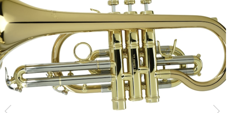 CarolBrass CarolBrass Cornet CCR-6880-GSS-Bb-L