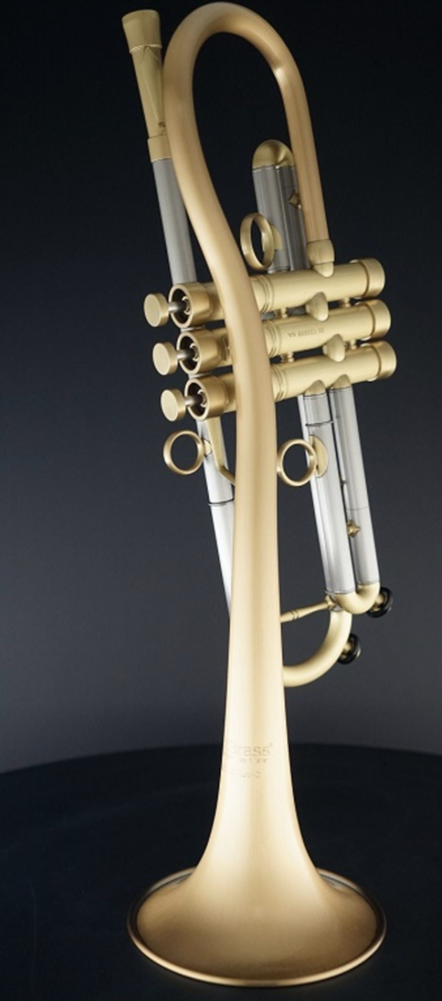 管楽器・吹奏楽器 CarolBrass Baro model II Post Pandemic 管楽器・吹奏楽器 CarolBrass Baro model II Post Pandemic CarolBrass