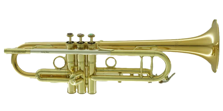 CarolBrass CarolBrass Professional Trumpet with Gold Brass Lacquer Finish CTR-5060H-GSS-Bb-L