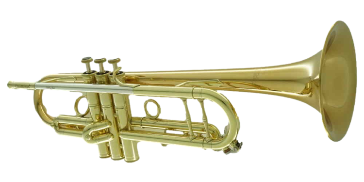 CarolBrass CarolBrass Professional Trumpet with Gold Brass Lacquer Finish CTR-5060H-GSS-Bb-L