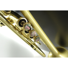 CarolBrass CarolBrass Professional Trumpet  Brass Lacquer Finish CTR-5060H-GSS-Bb-SLB