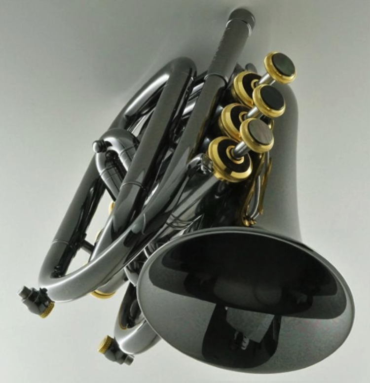 CarolBrass CarolBrass Mini Pocket Trumpet CPT-1000-YSS-Bb-BG