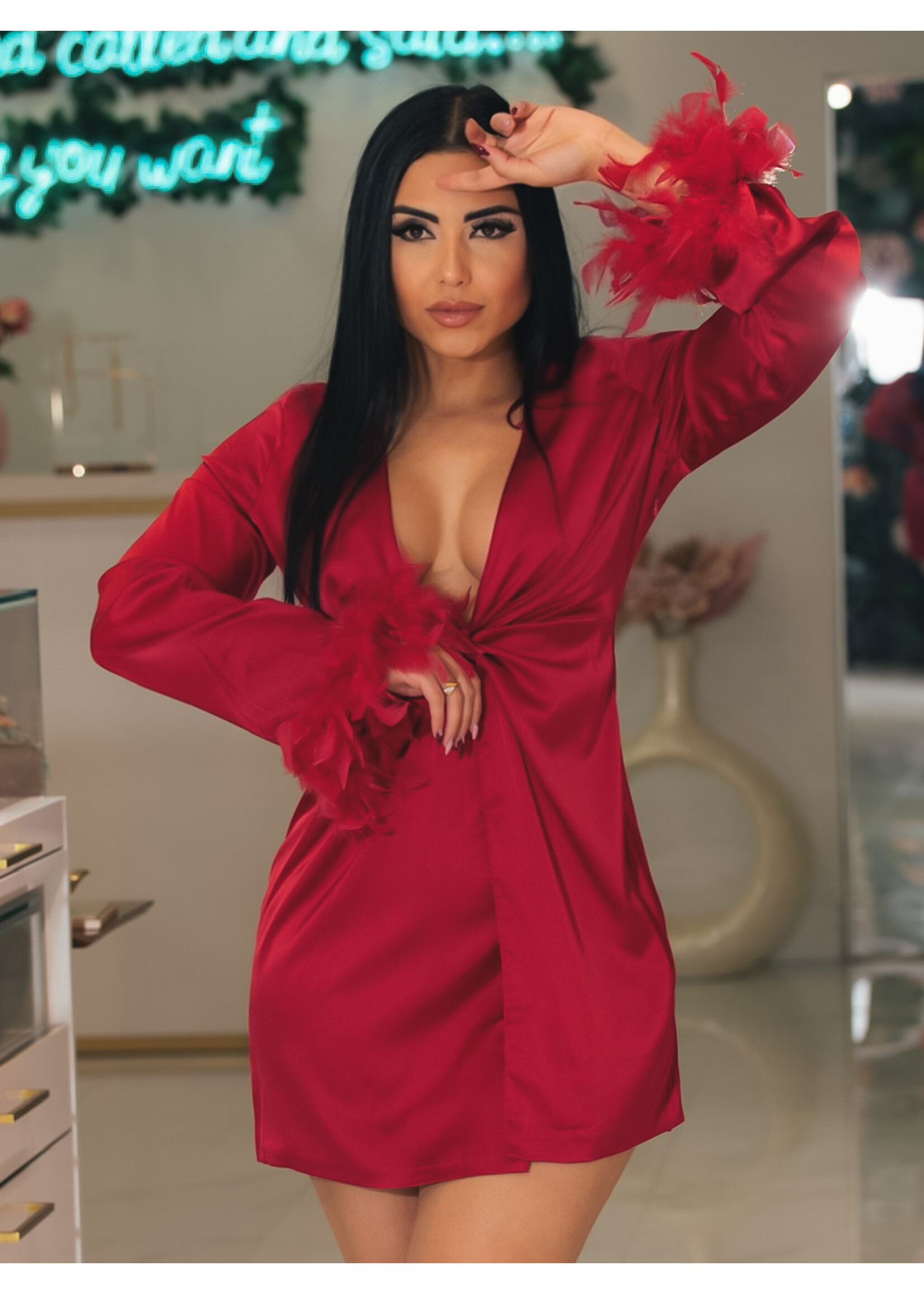 Feather Sleeves Silk Dress