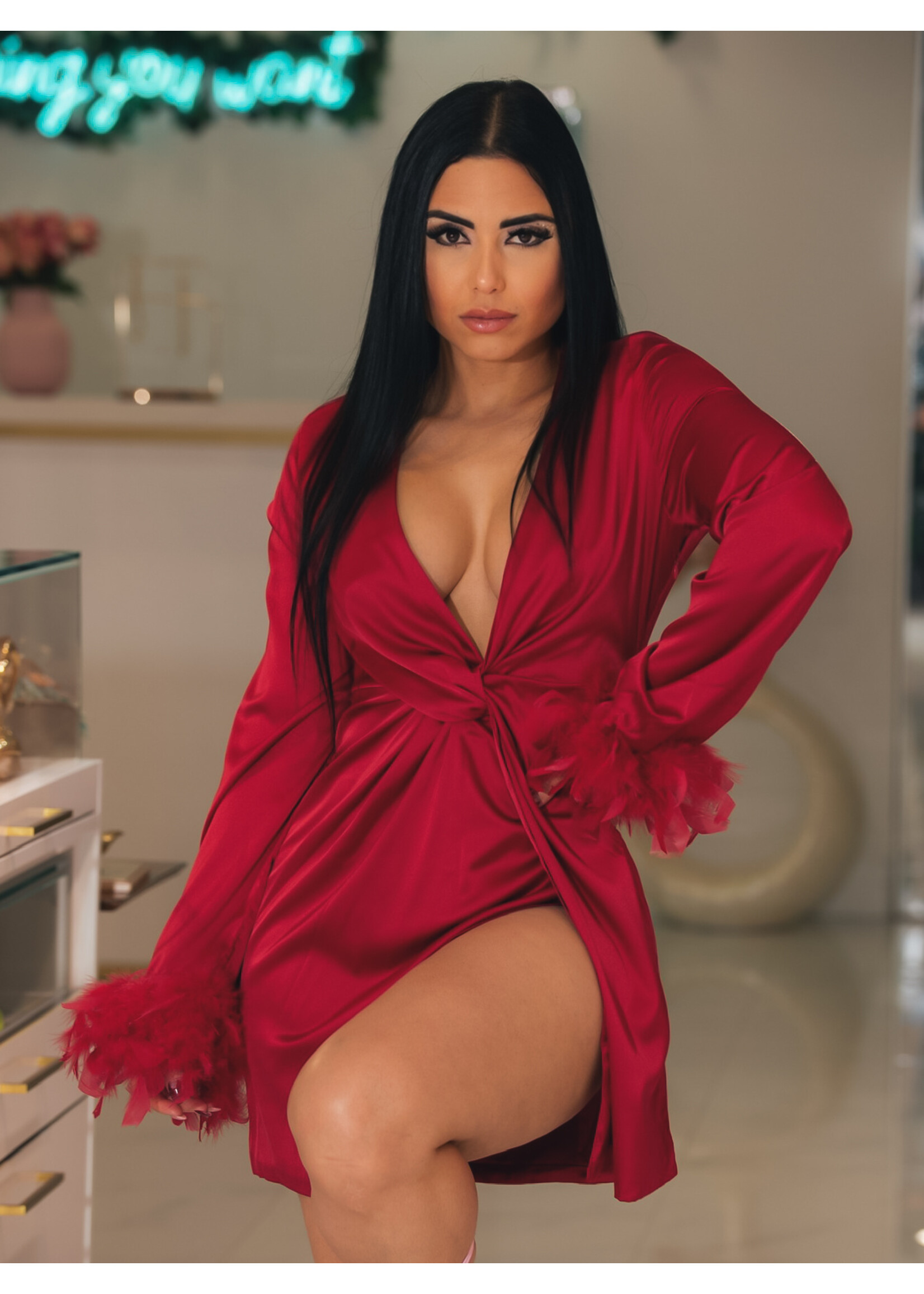 Feather Sleeves Silk Dress