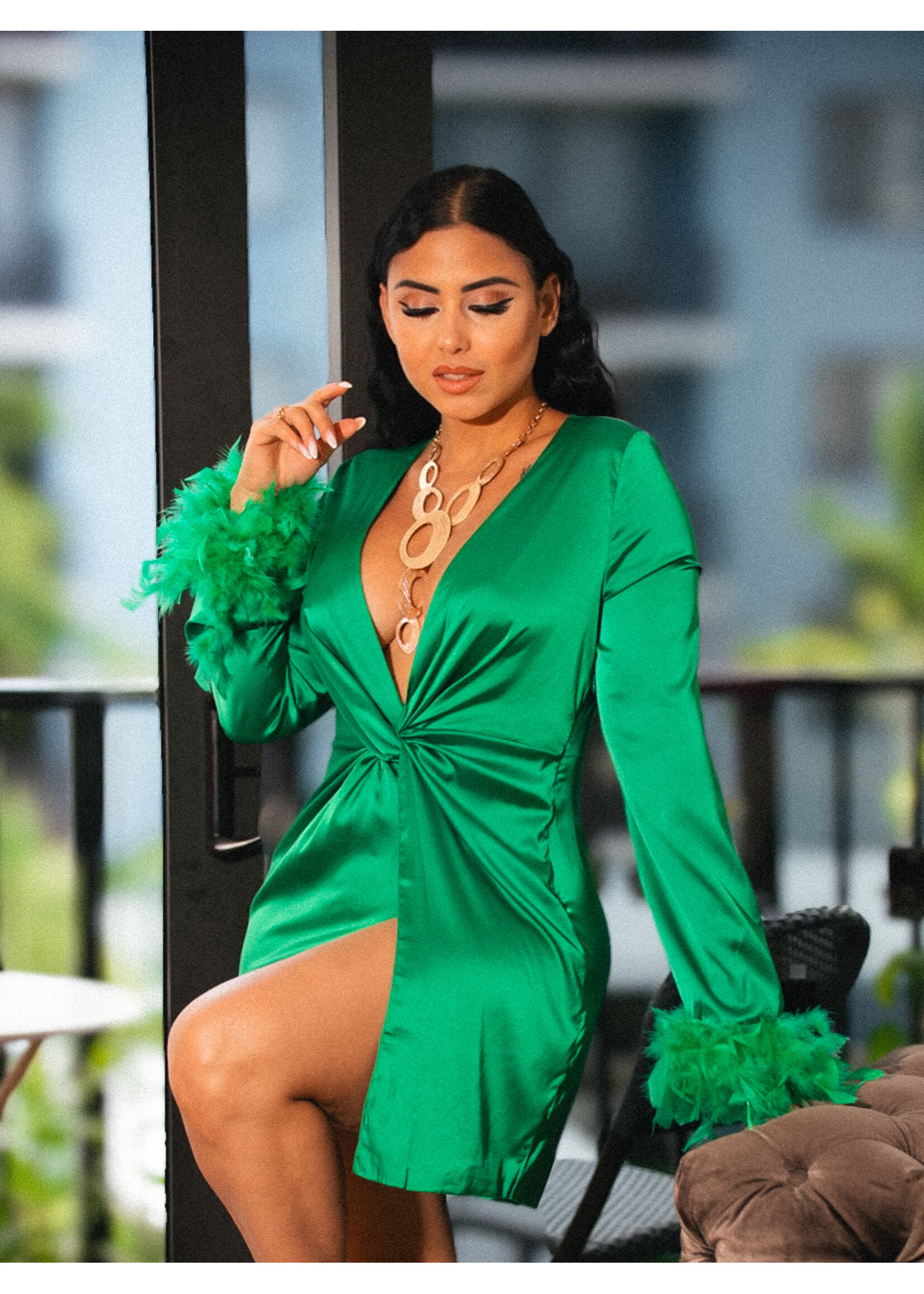 Feather Sleeves Silk Dress
