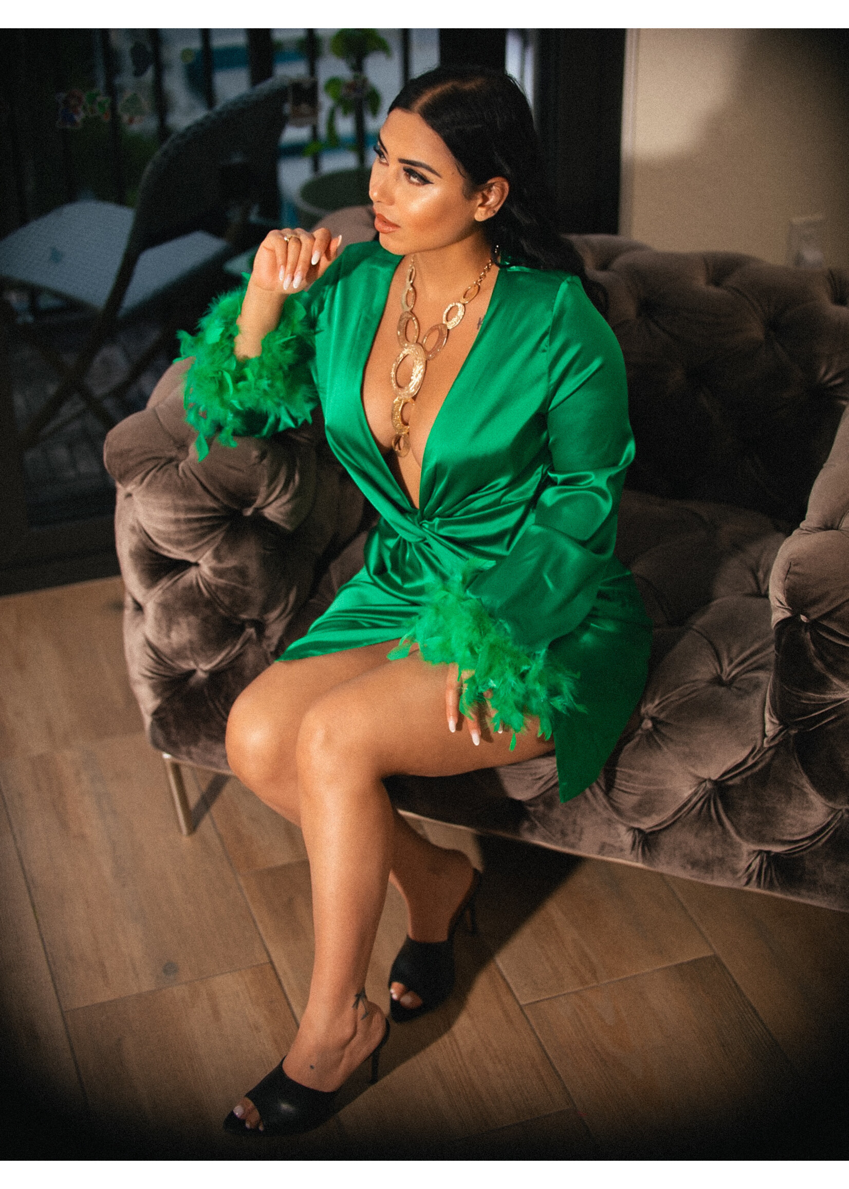 Feather Sleeves Silk Dress
