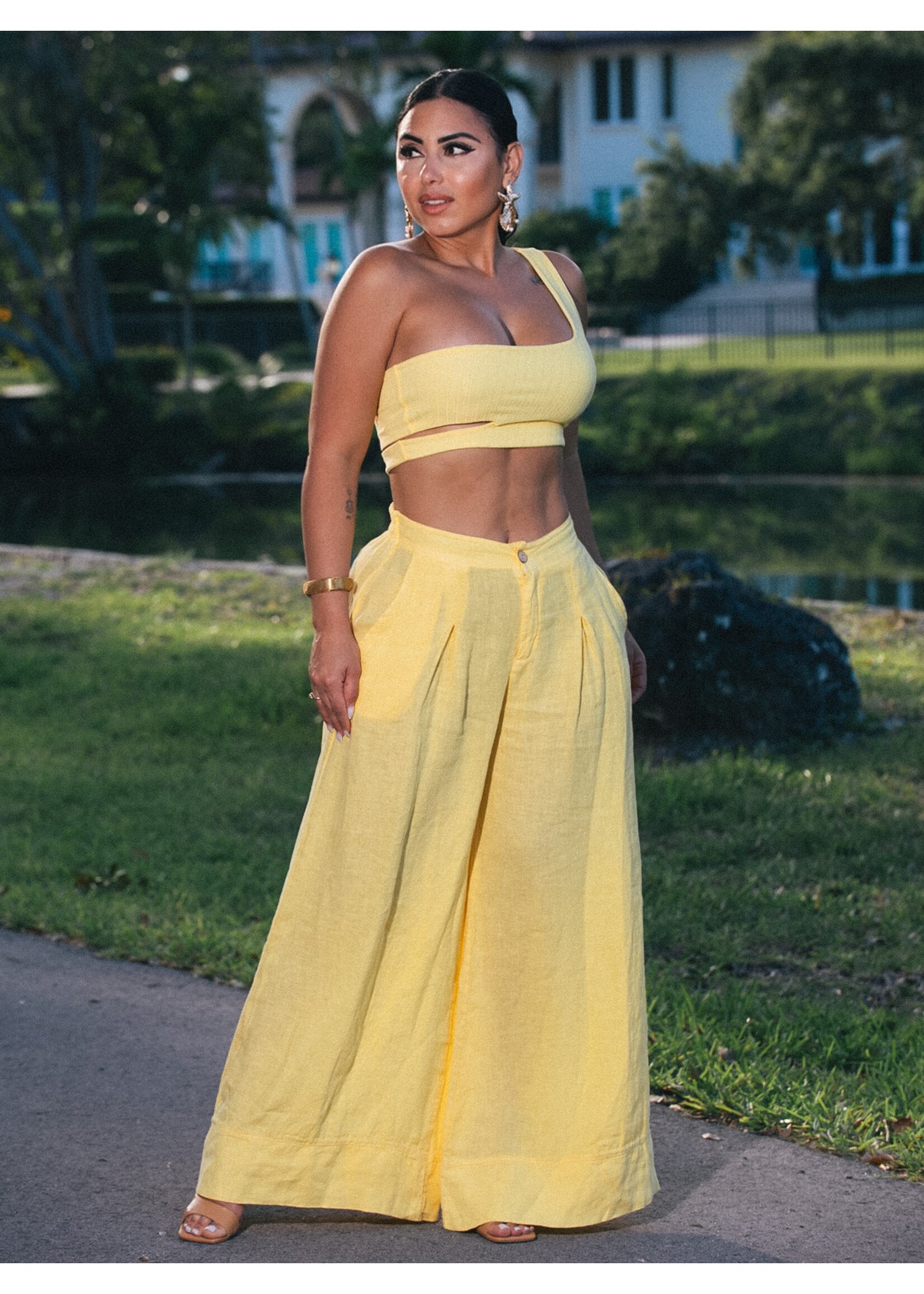 Linen High Waist Pants + Crop Top