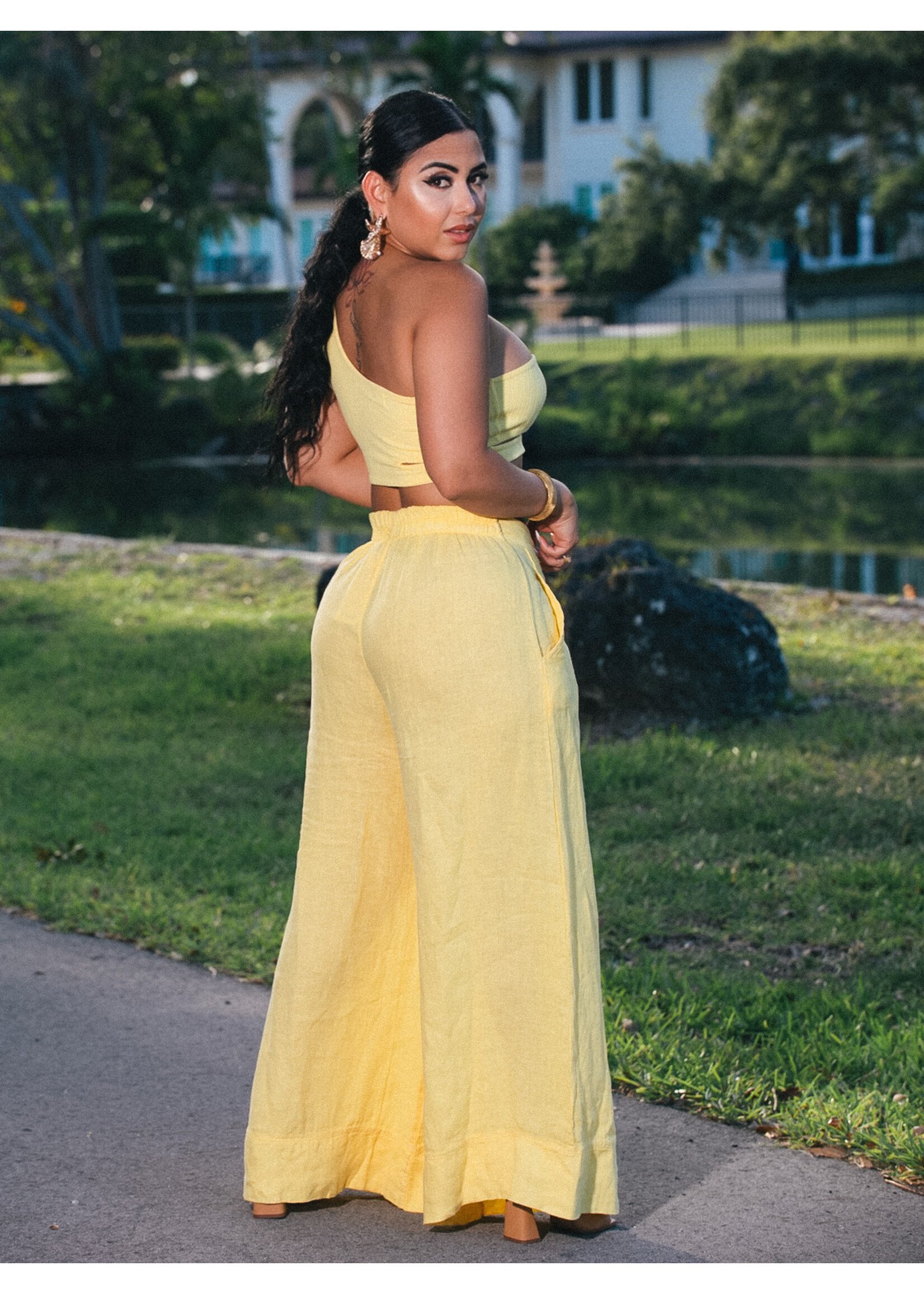 Linen High Waist Pants + Crop Top