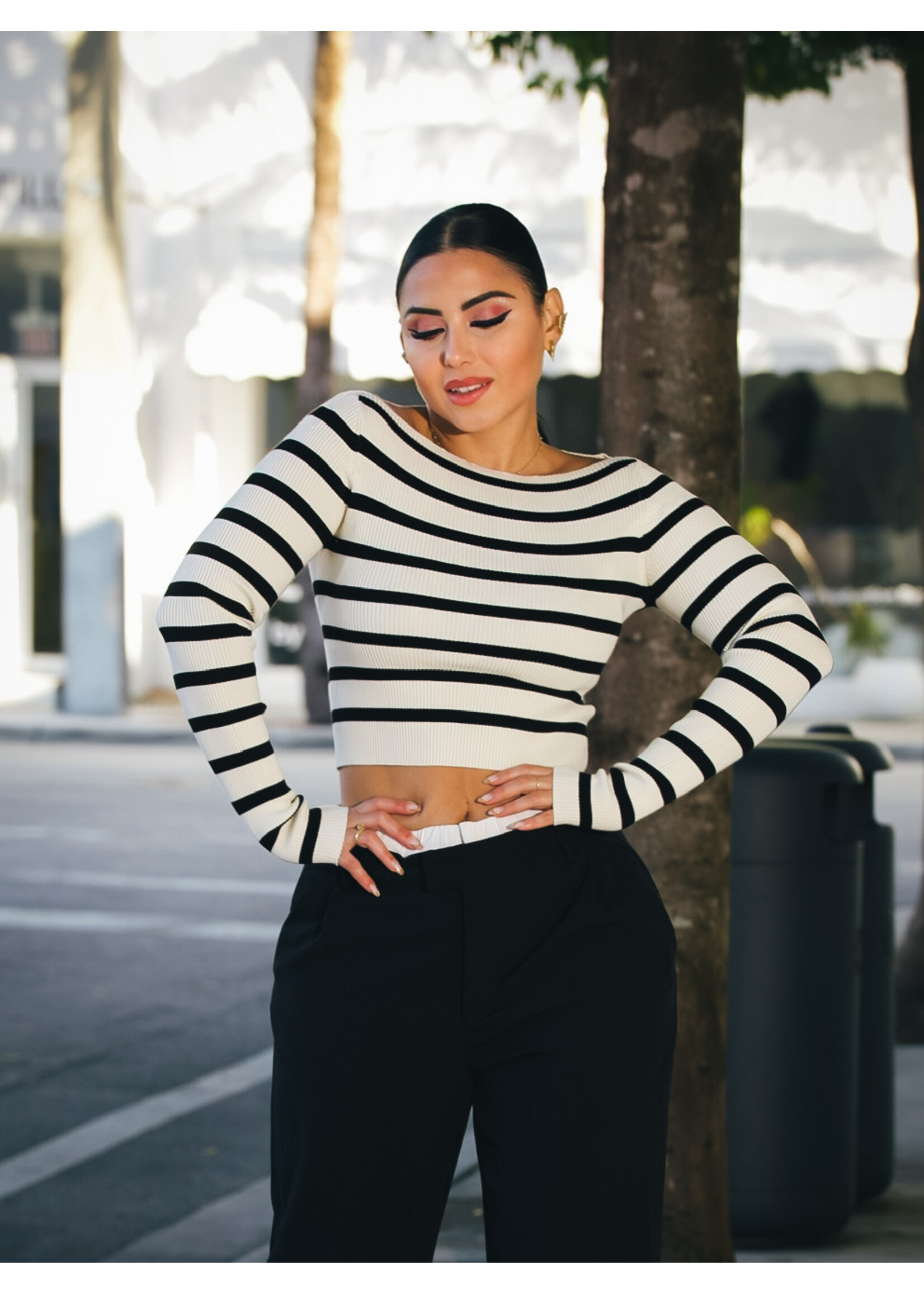 Striped Ribbed  Cropped Knit Top