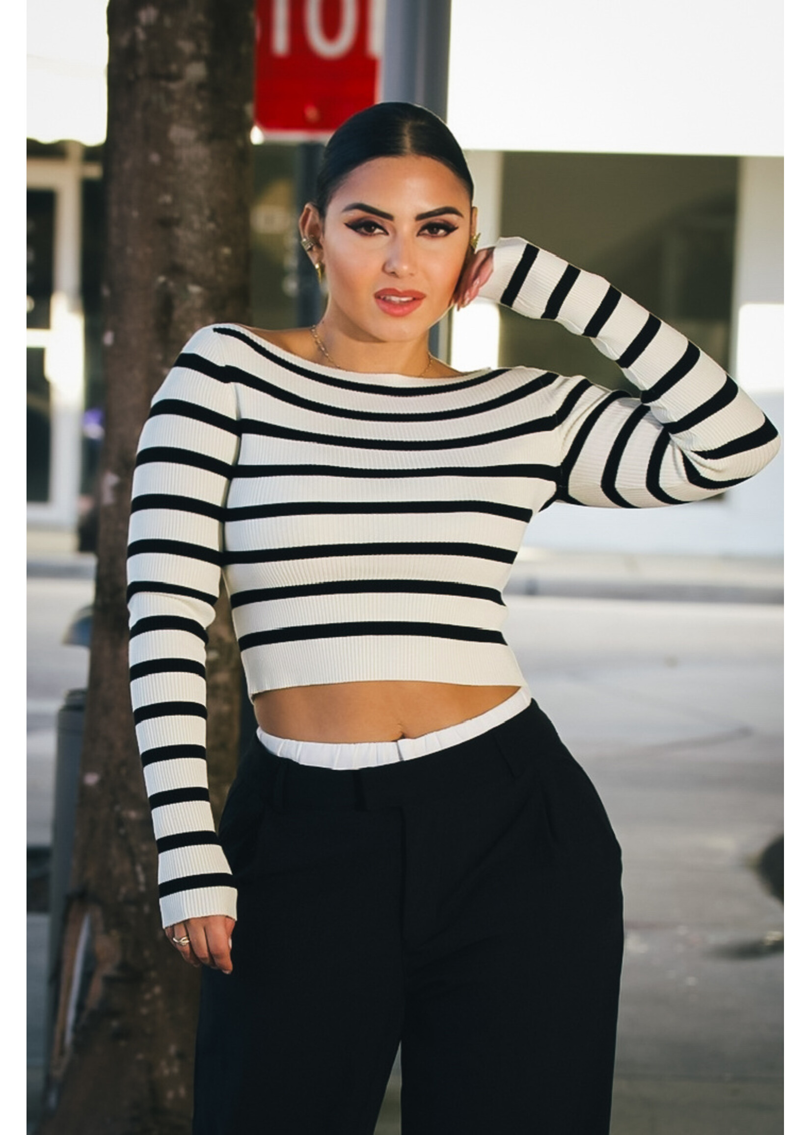 Striped Ribbed  Cropped Knit Top