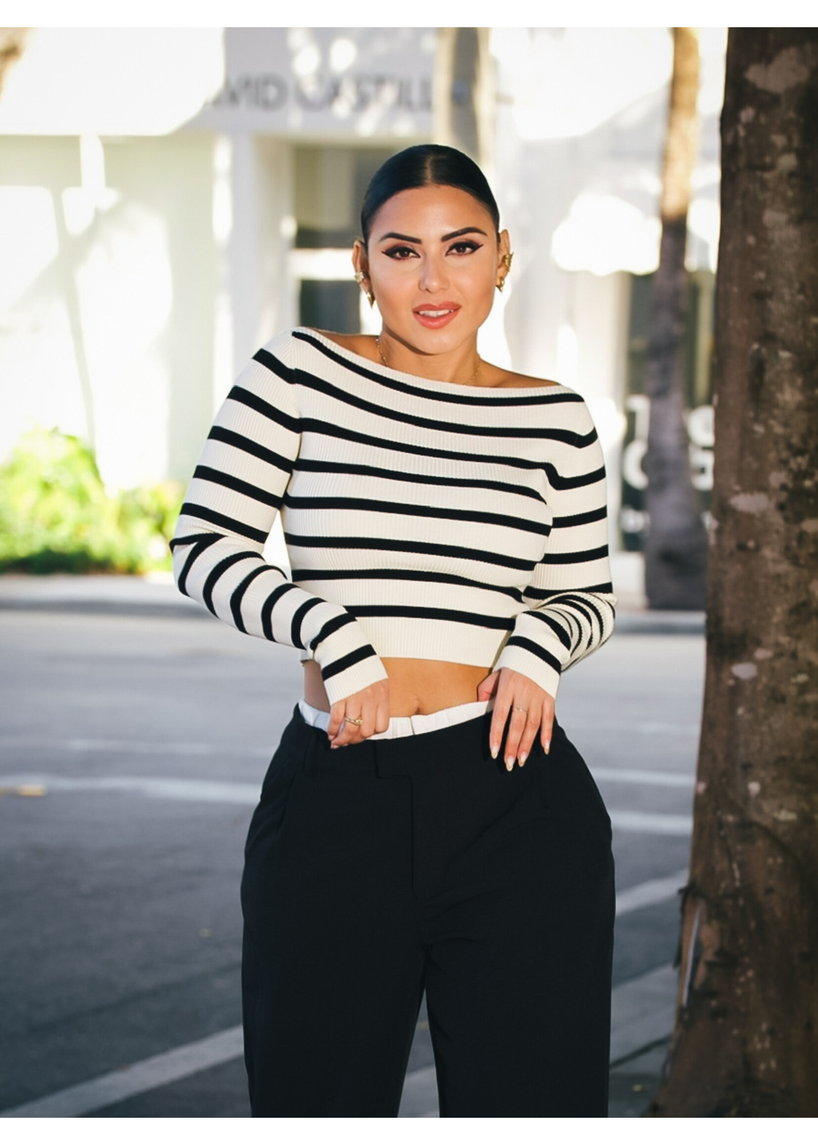 Striped Ribbed  Cropped Knit Top