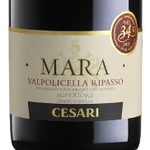 Cesari Cesari Mara Valpolicella Ripasso 2019  Veneto, Italy