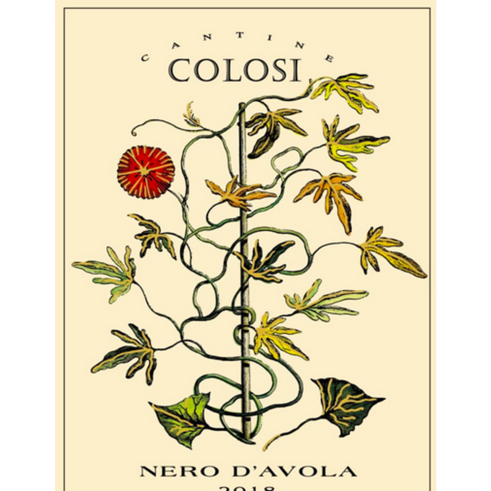 Cantine Colosi Cantine Colosi 2022 Nero D' Avola Italy