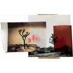 Orin Swift Eight Years in the Desert 2023