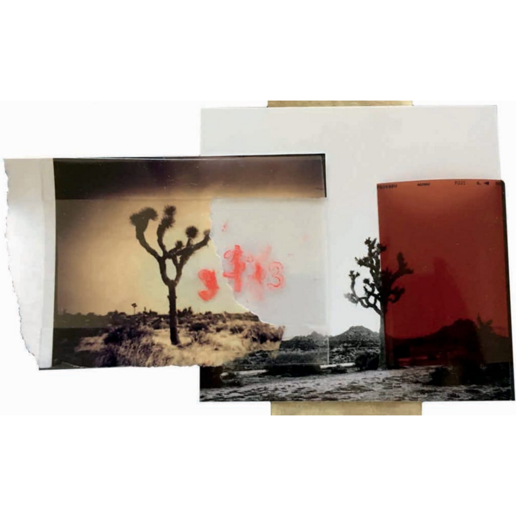 Orin Swift Eight Years in the Desert 2023