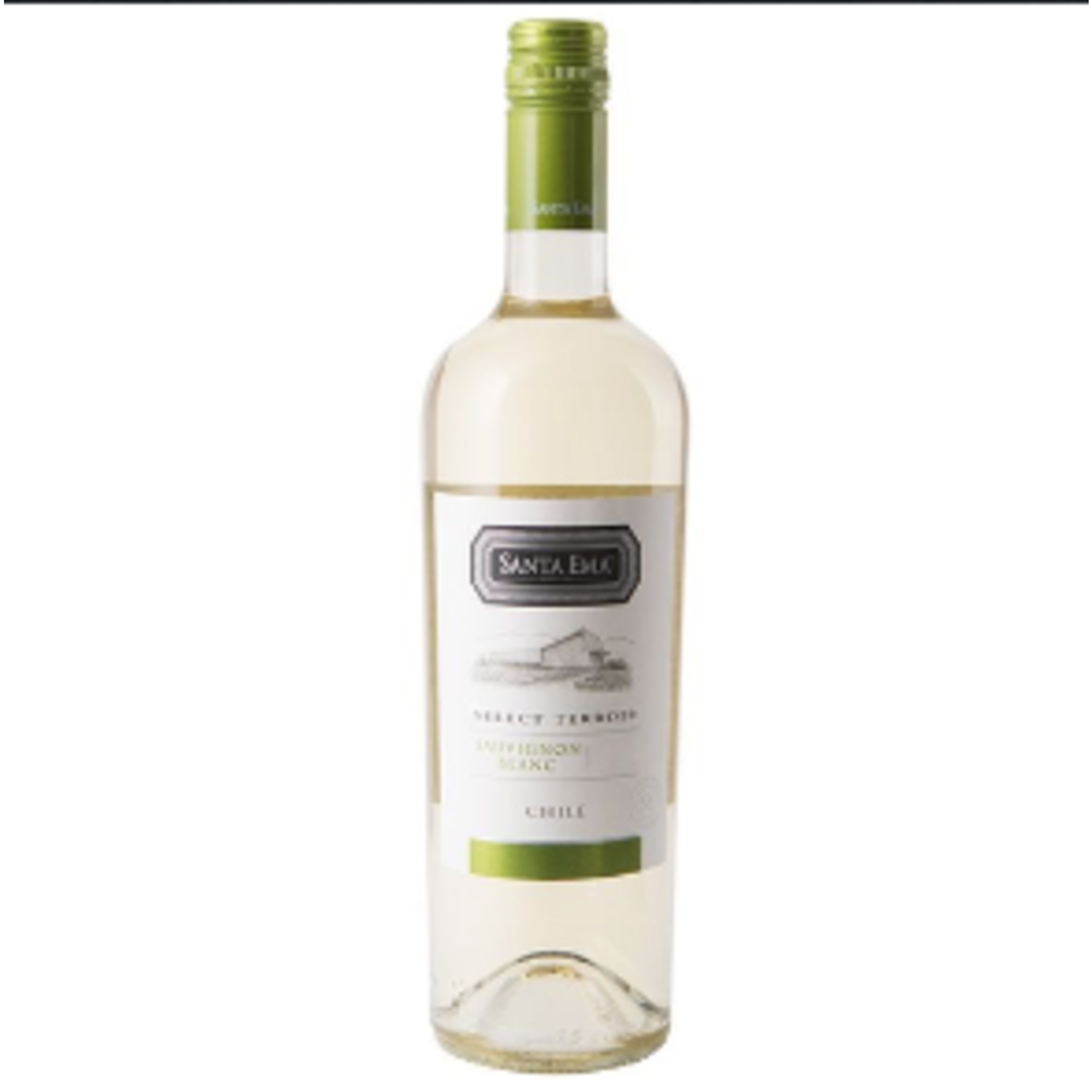 Santa Ema Wines Santa Ema El Cruce Sauvignon Blanc Select Terroir  Maipo Valley Chile 2023