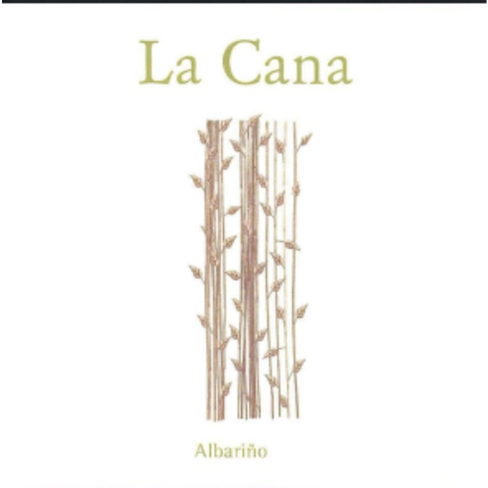 Bodegas La Caña La Cana Albarino Rías Baixas 2024 Spain
