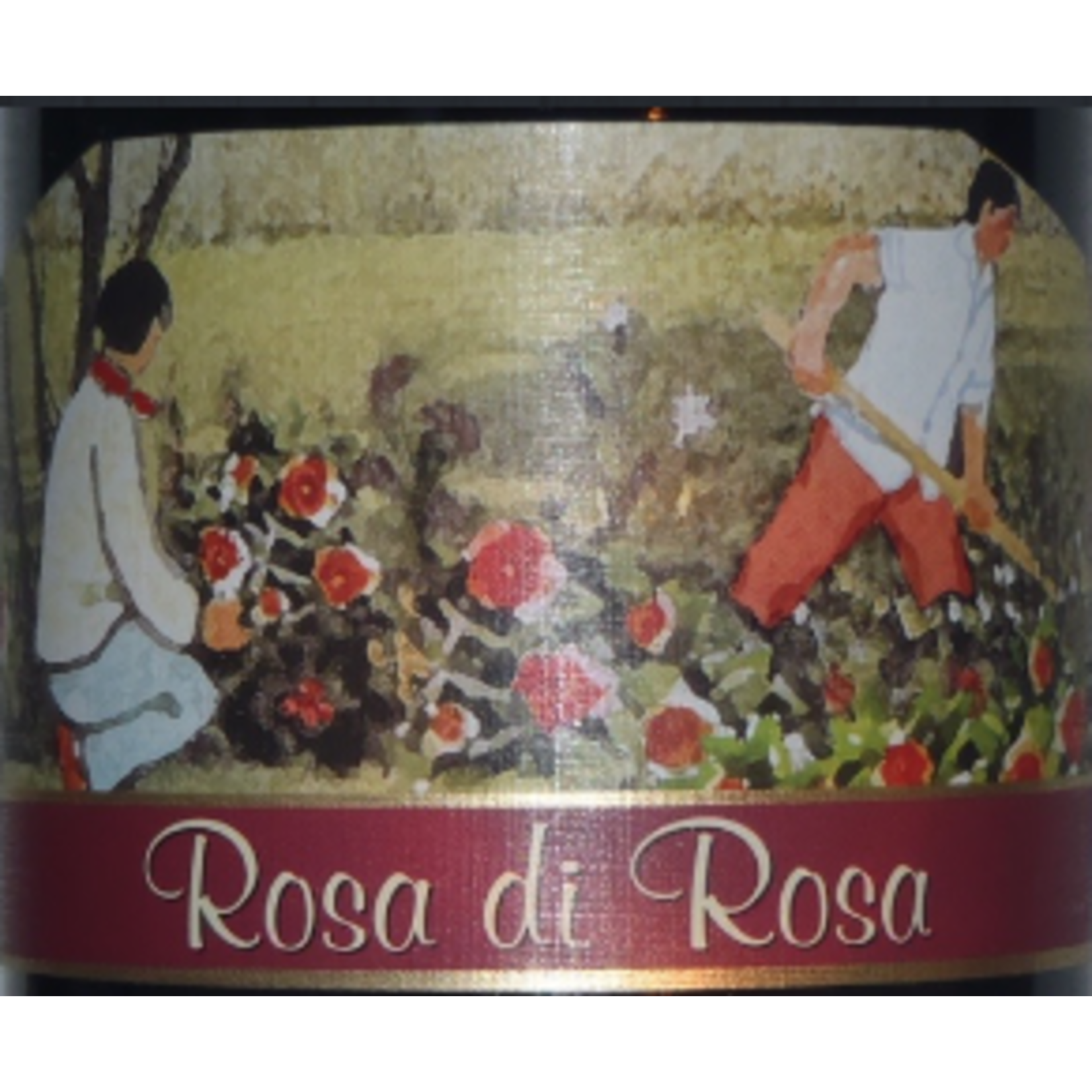 Casali Rosa di Rosa Casali Rosa di Rosa Sparkling Red Wine Emilia-Romagna, Italy