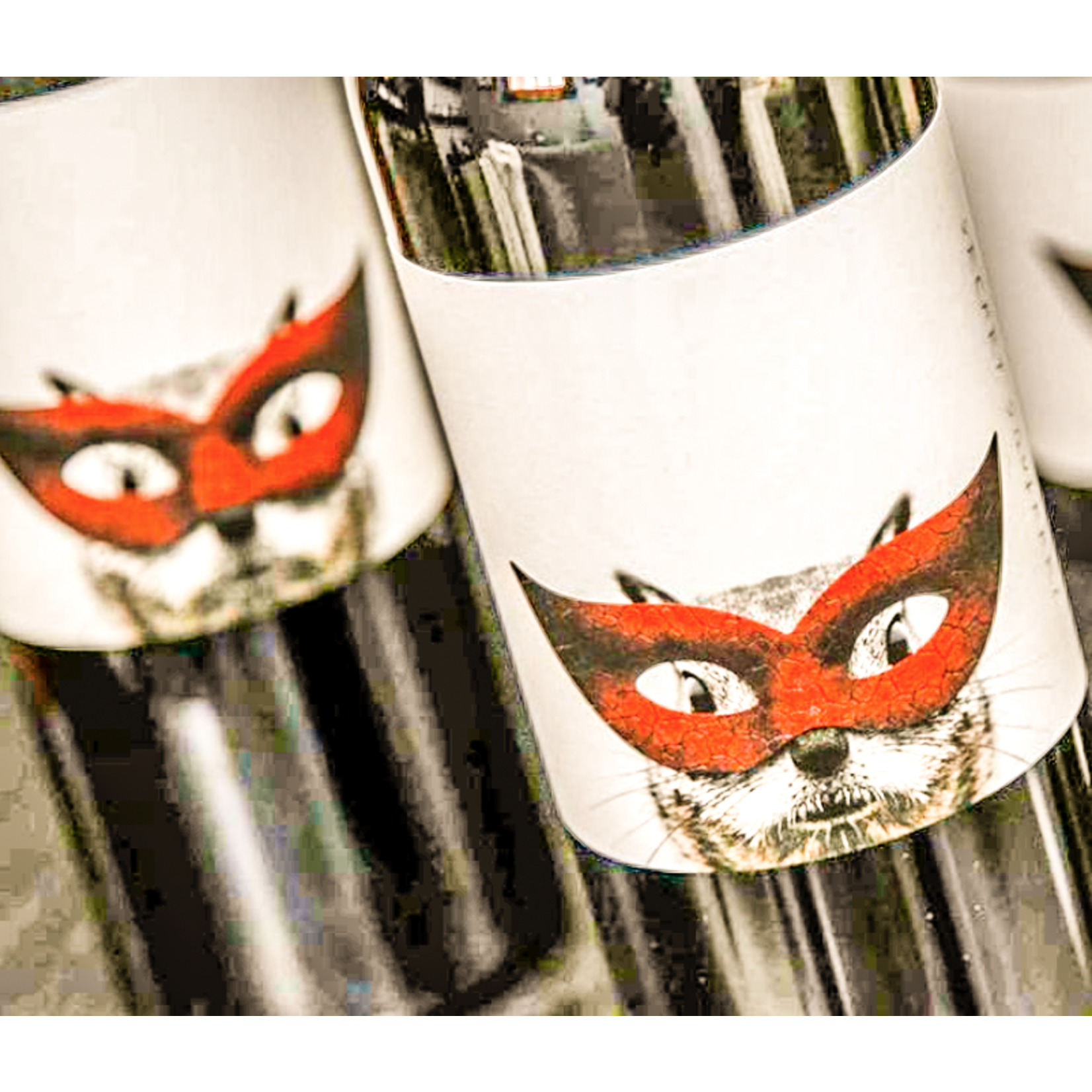 Secret Squirrel Secret Squirrel Cabernet Sauvignon 2017  Columbia Valley, Walla Walla, Washington