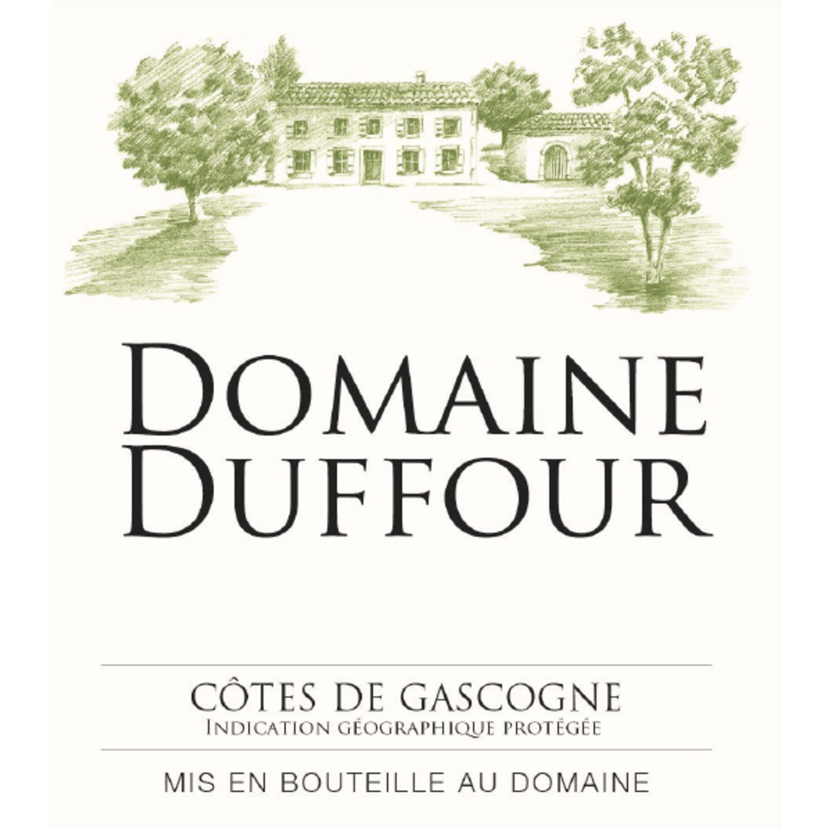 Domaine Duffour Vignoble Domaine Duffour Côtes de Gascogne Blanc 2022  France