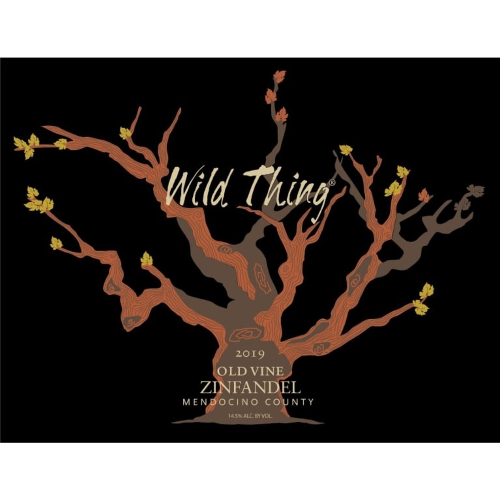 Wild Thing Wild Thing Old Vine Zinfandel 2022  Mendocino, California