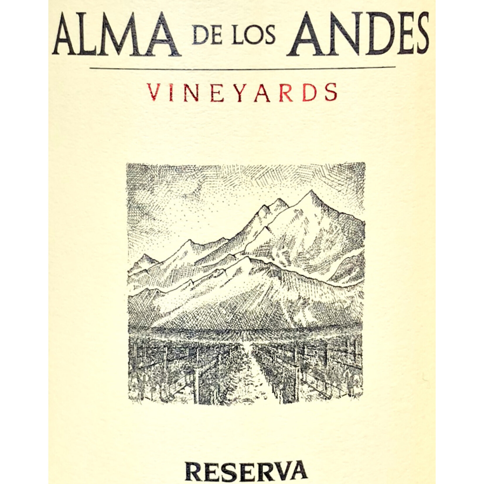 Mendoza, Wine Region, Andes Mountains, Malbec