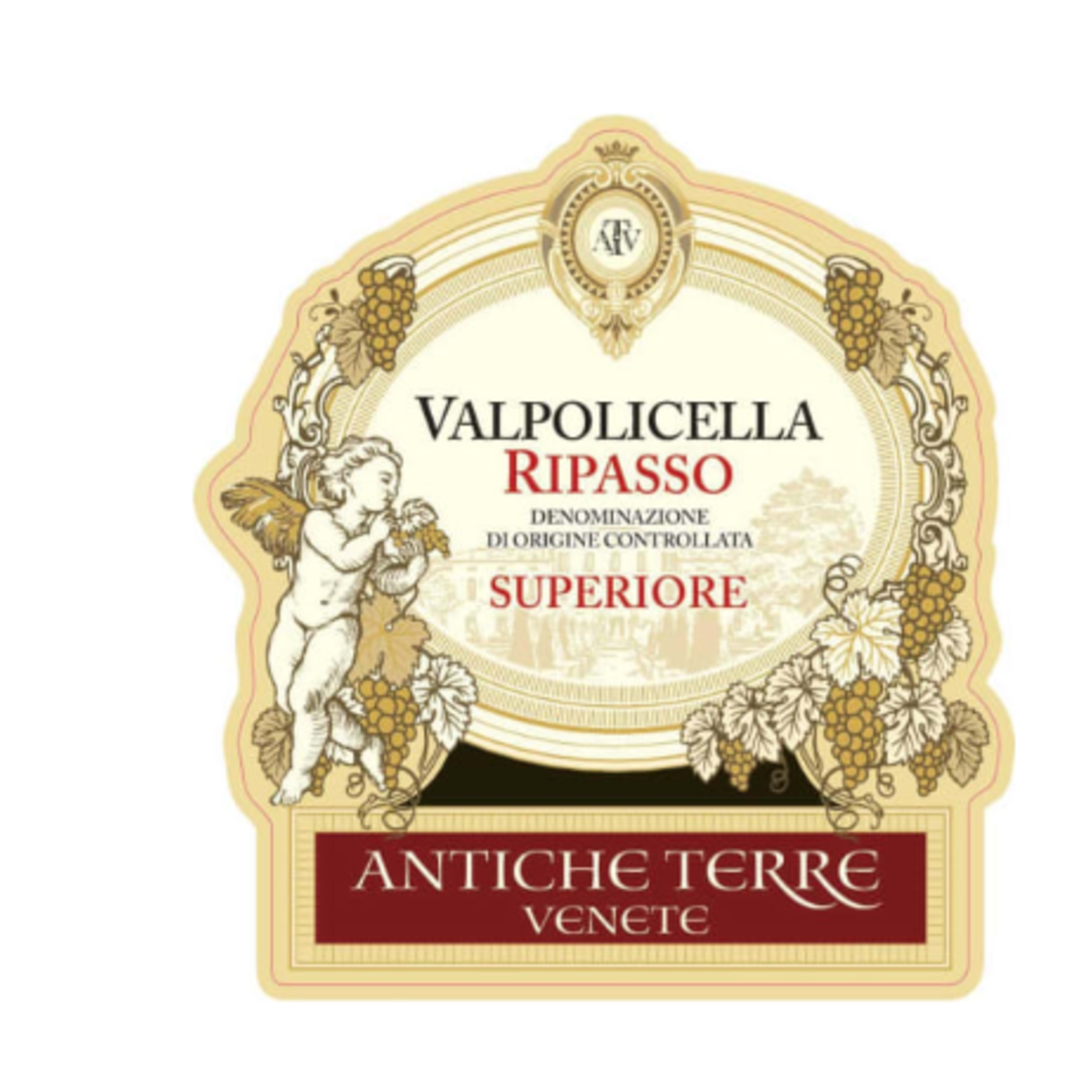 Antiche Terre Venete Antiche Terre Venete Valpolicella Ripasso Superiore 2019  Italy