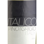 Italico Italico Pinot Grigio Terre Degliosci 2022,  Italy