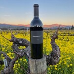 Ghost Block Ghost Block Family Estate 2018 Square Nail Cabernet Sauvignon  Napa Valley, California