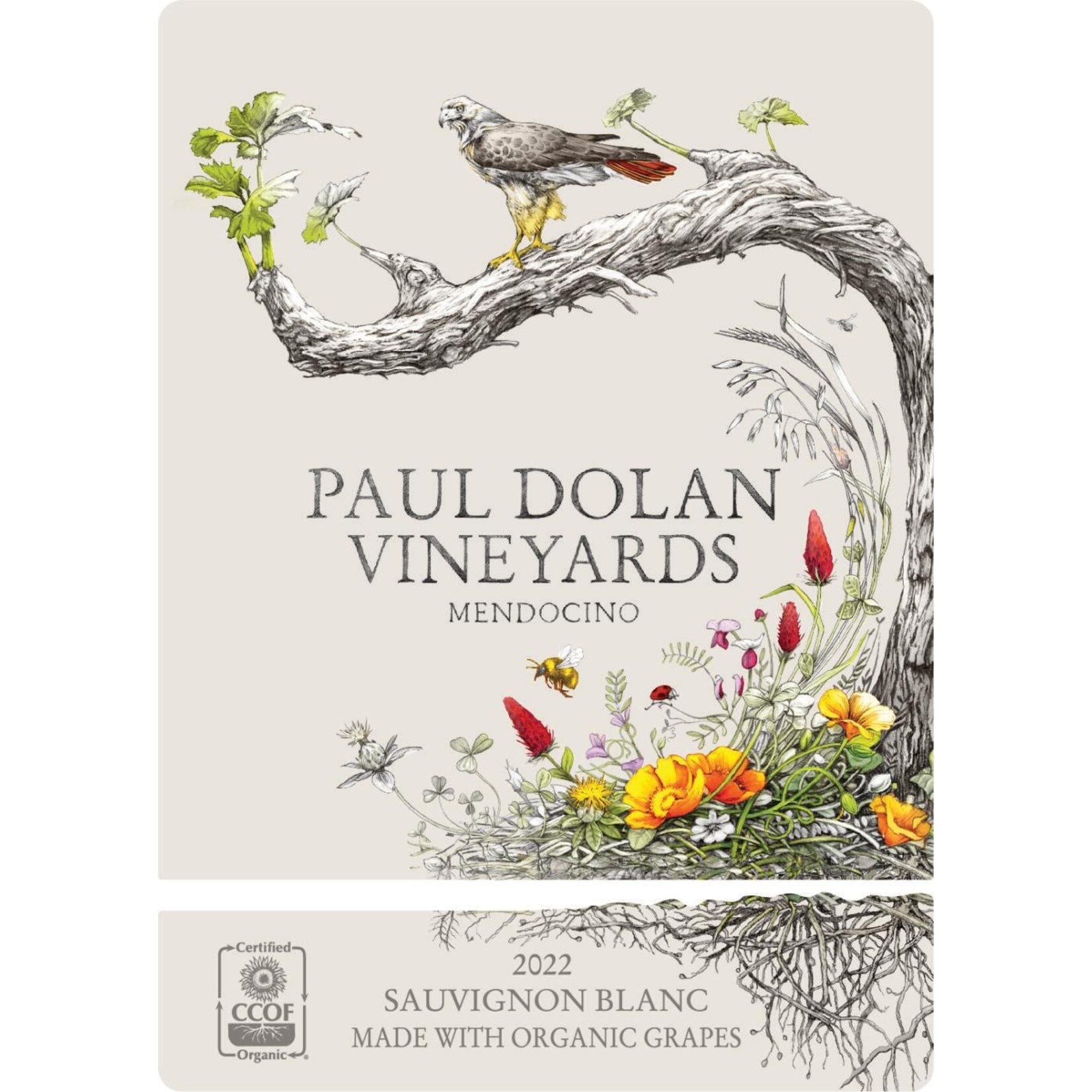 Paul Dolan Paul Dolan Vineyards Organic Sauvignon Blanc Mendocino 2021