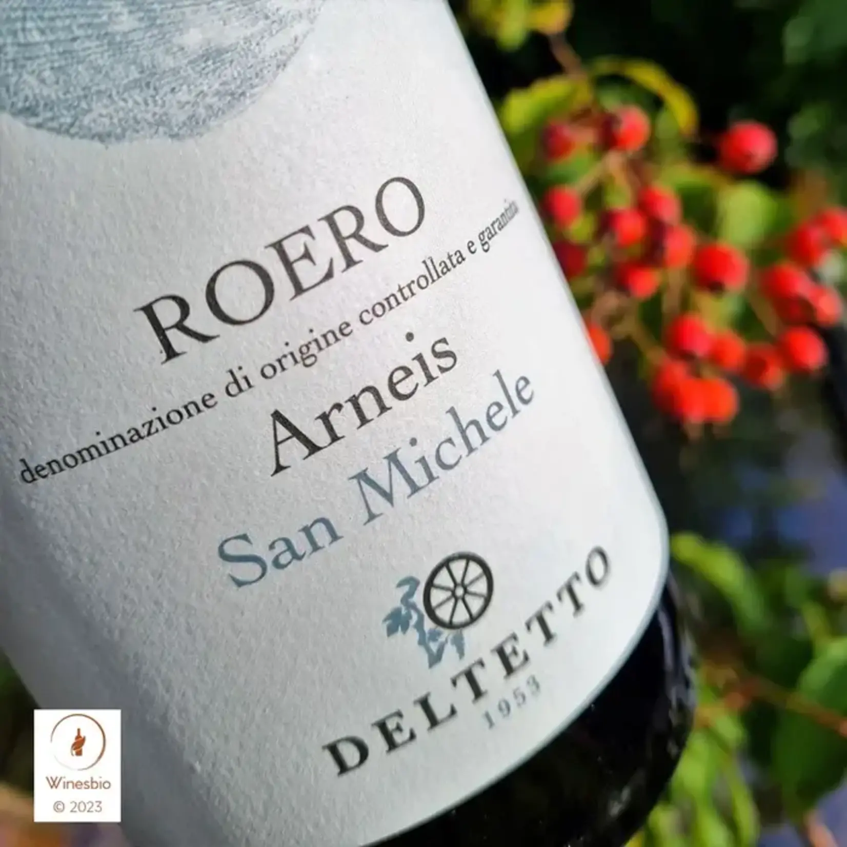 Deltetto Roero Arneis San Michele Made with Organic Grapes DOCG Italy