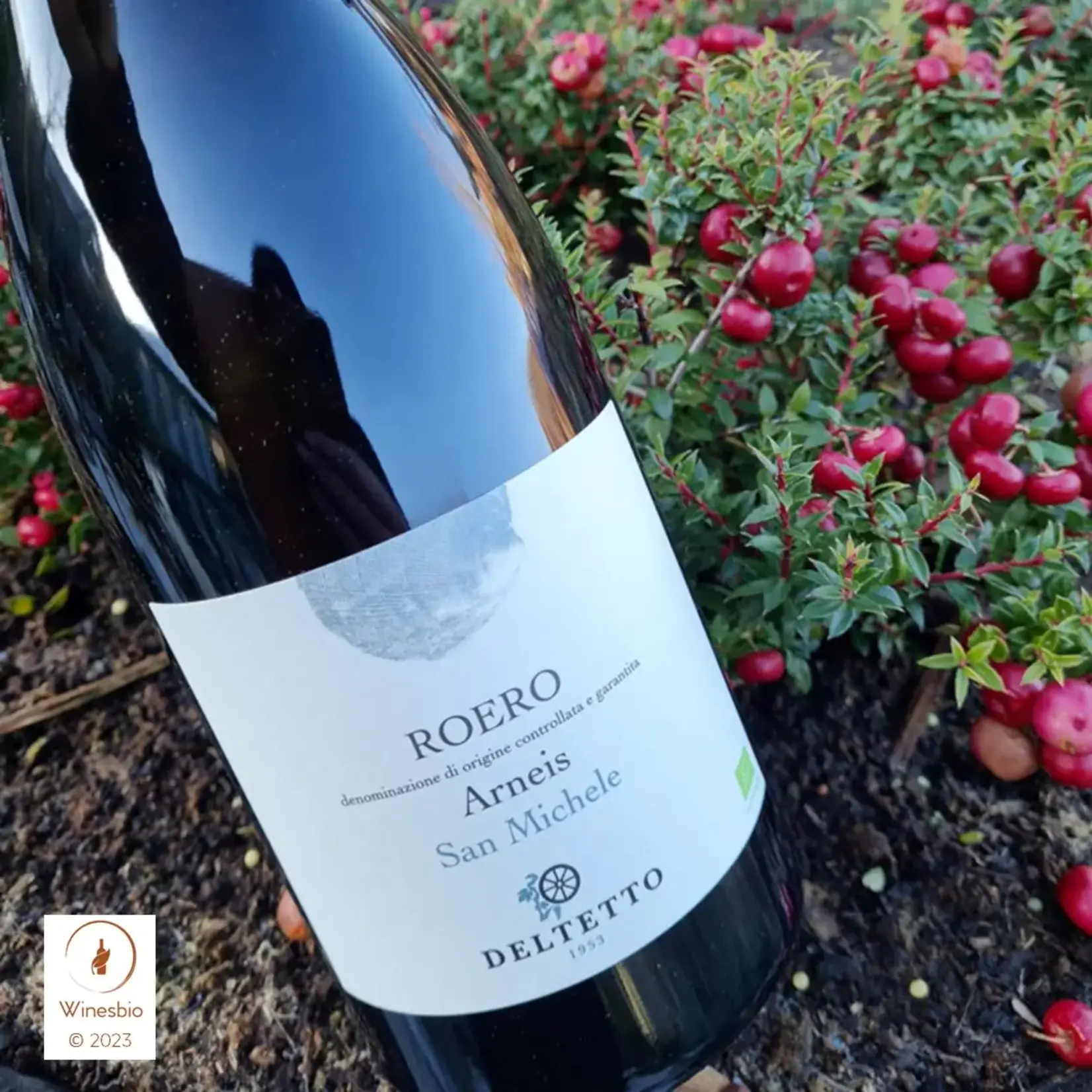 Deltetto Deltetto Roero Arneis San Michele Made with Organic Grapes DOCG Italy