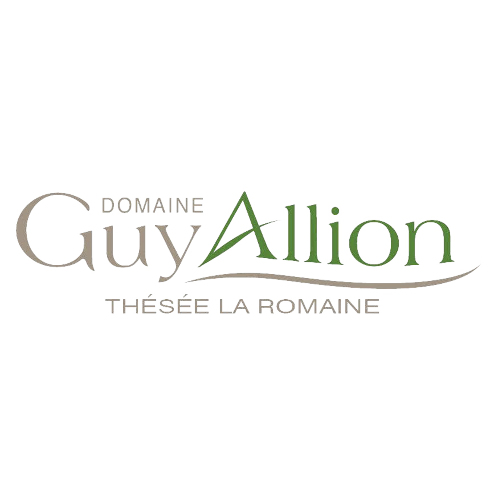 Domaine Guy Allion Guy Allion Le Haut Perron Touraine Chenonceaux Blanc 2022 France