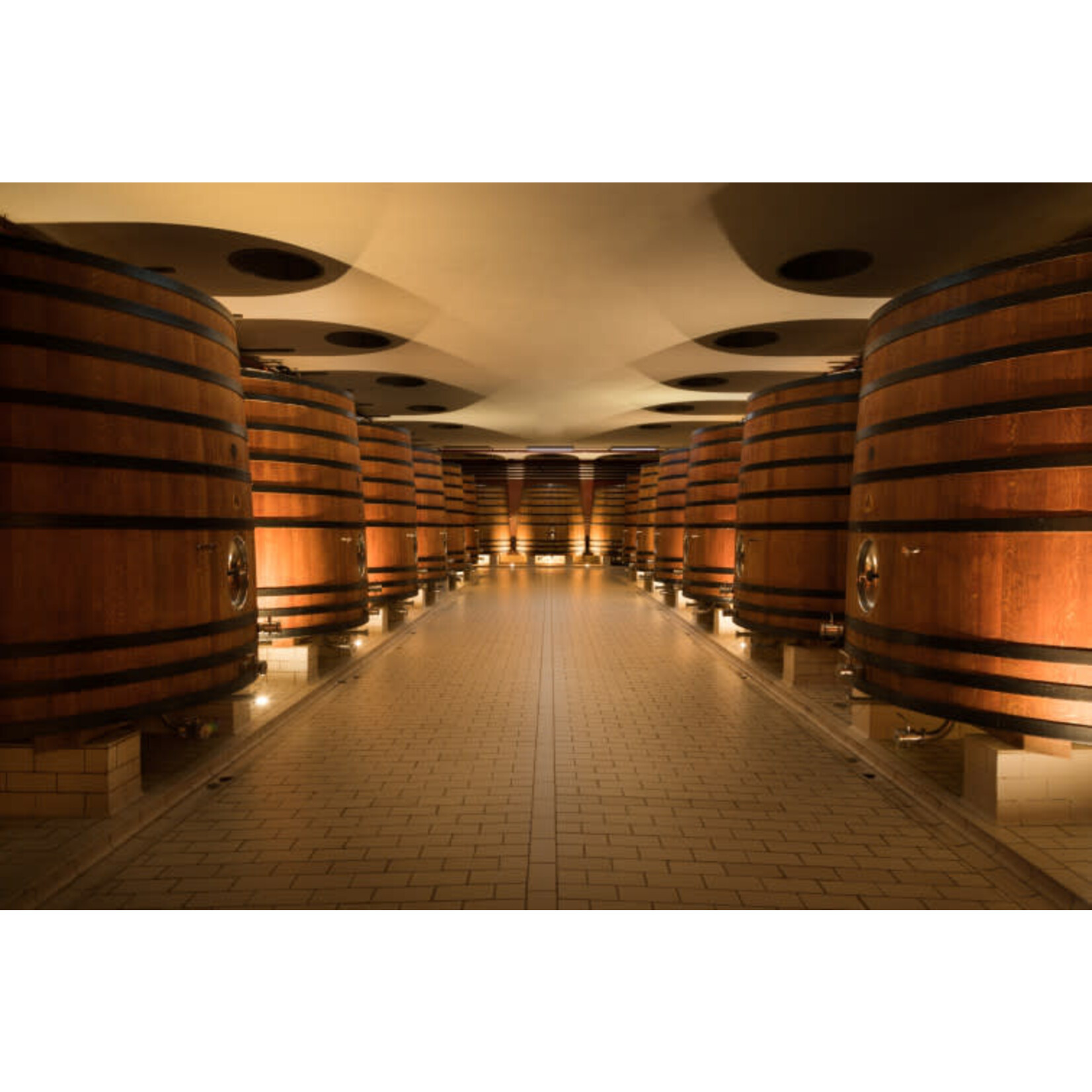 Finca La Pared Graciano Sonsierra Navarra Hills Vineyard KYS