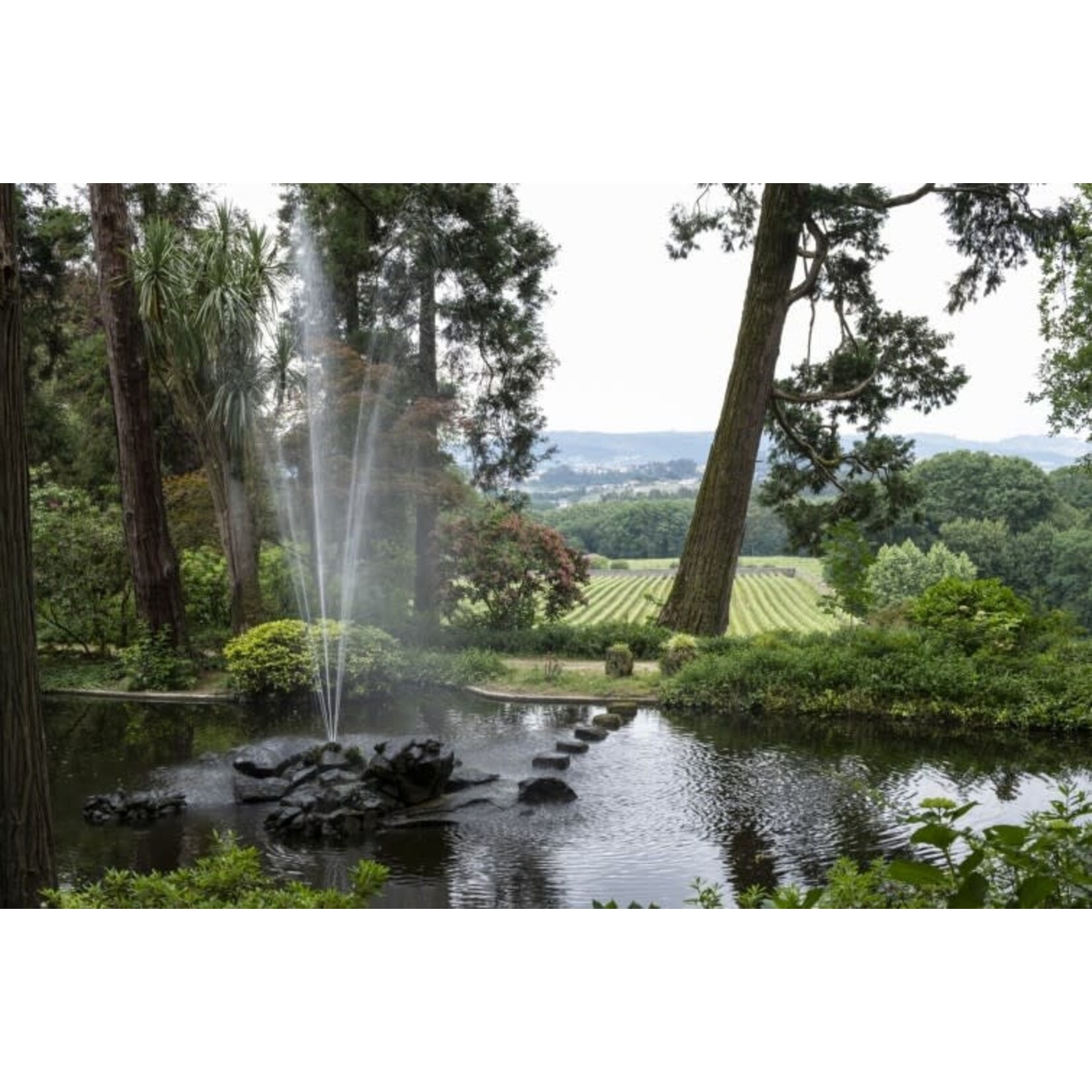 Aveleda Praia Vinho Verde