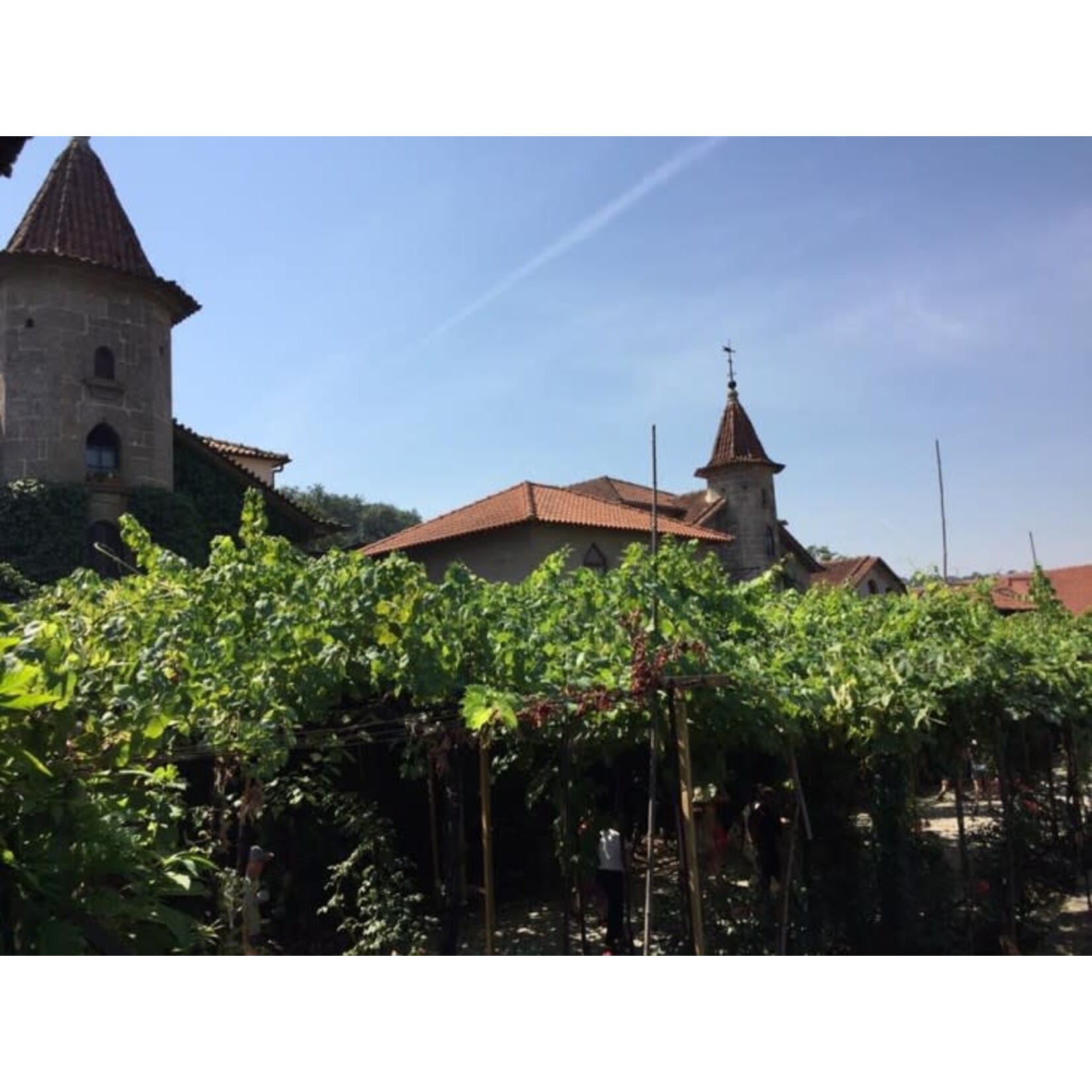 Aveleda Praia Vinho Verde