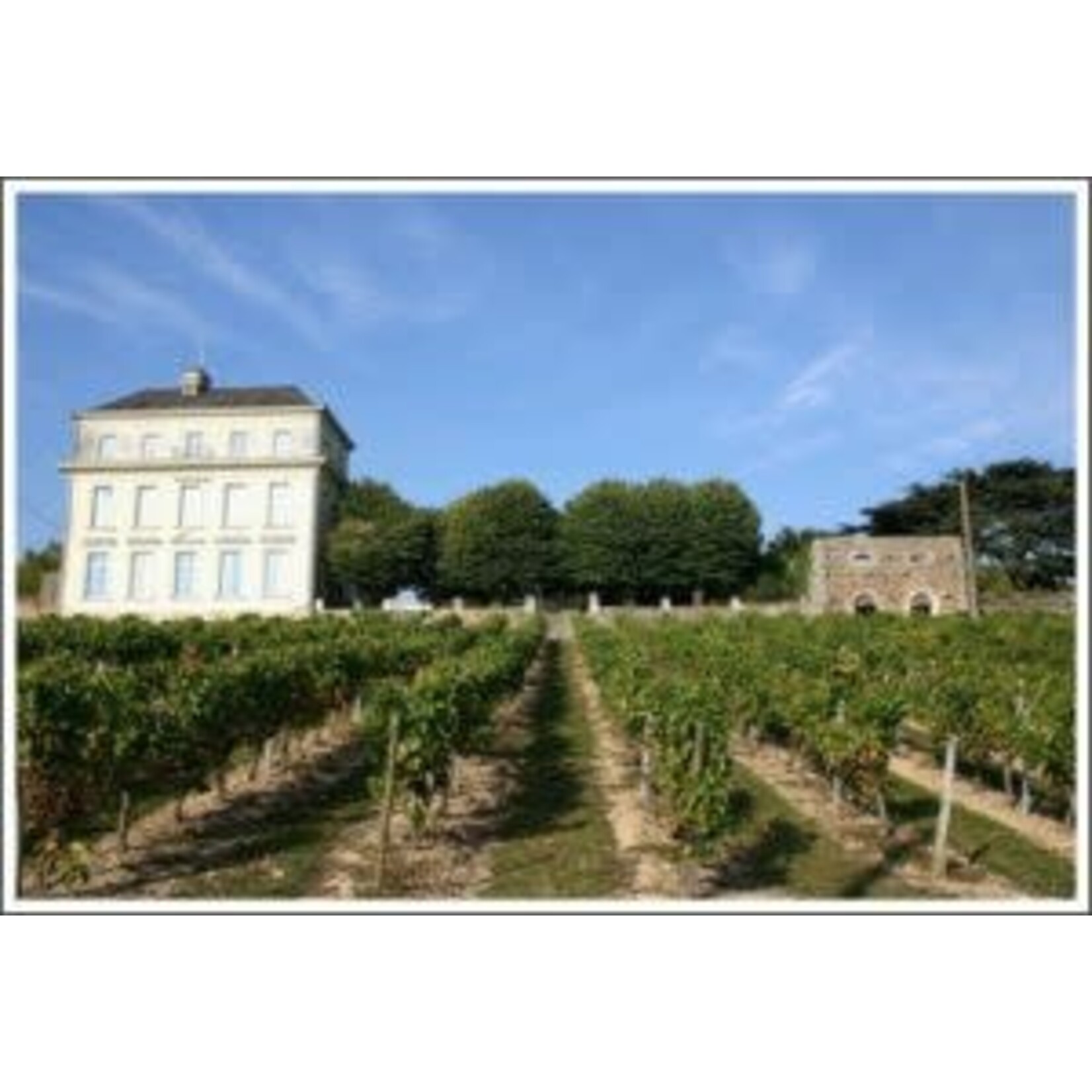 Mary Taylor (MT) Anjou Blanc 2022 Anjou France