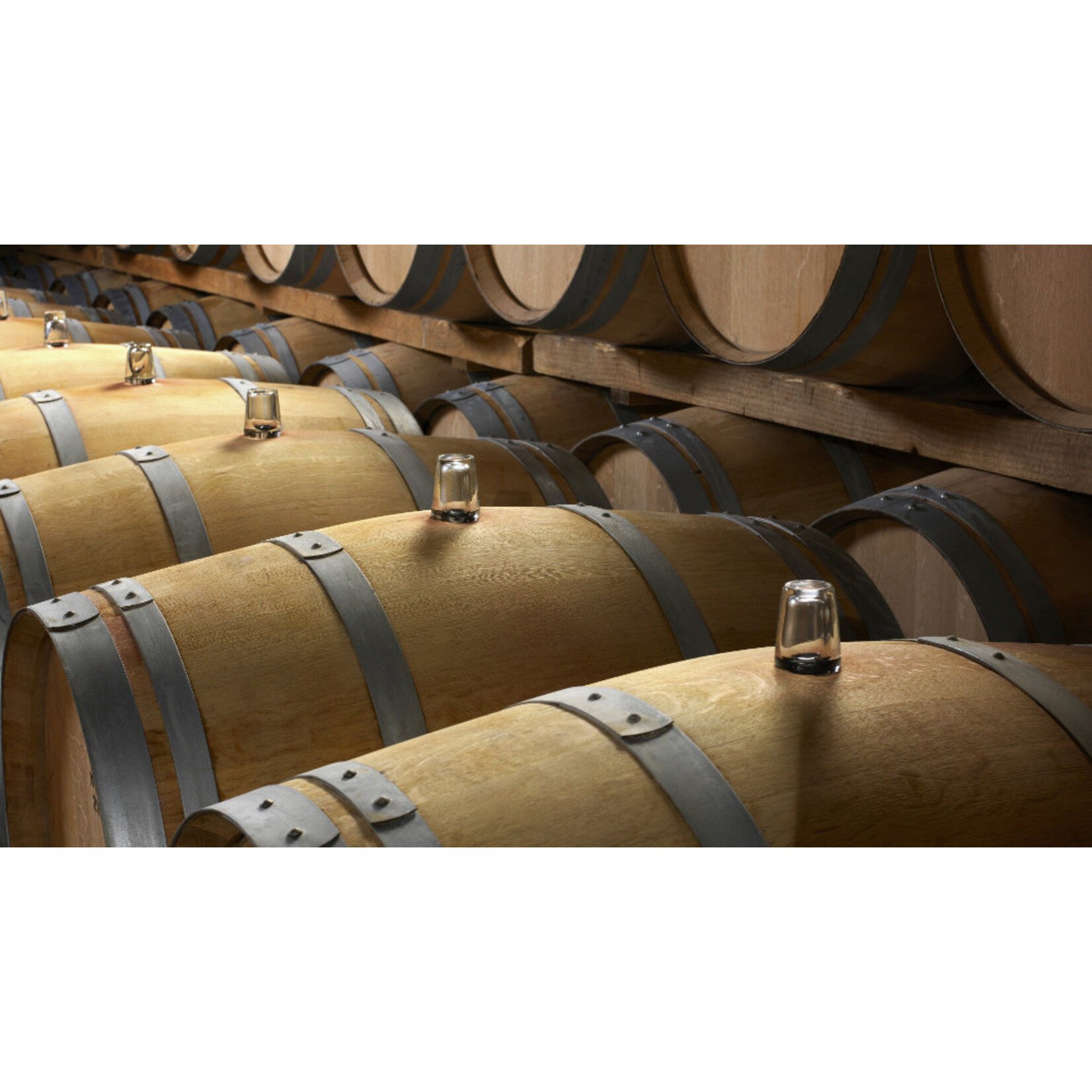 1883 Maison Sichel 2026 Vintage Red Wine Bordeaux France