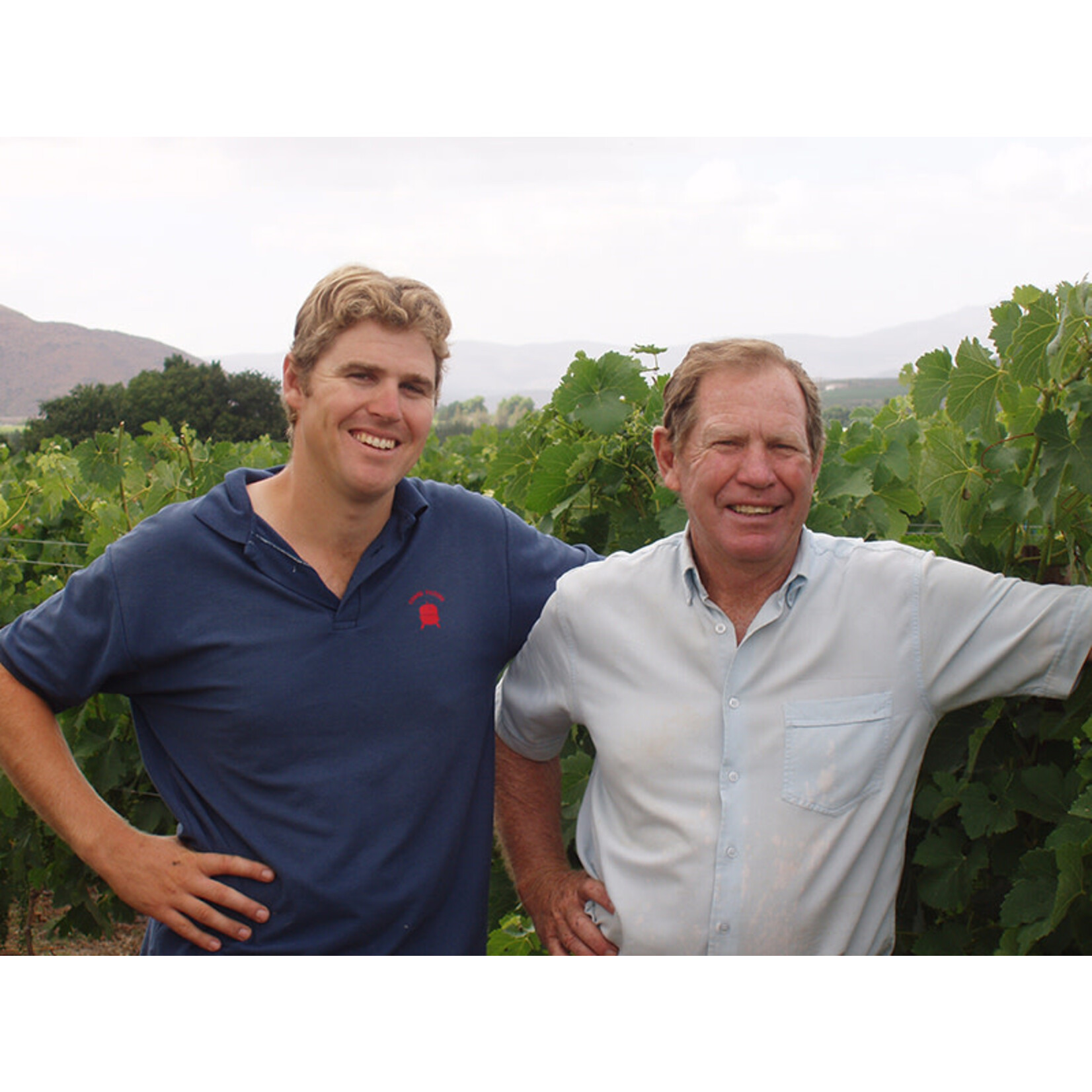 Excelsior Sauvignon Blanc 2025