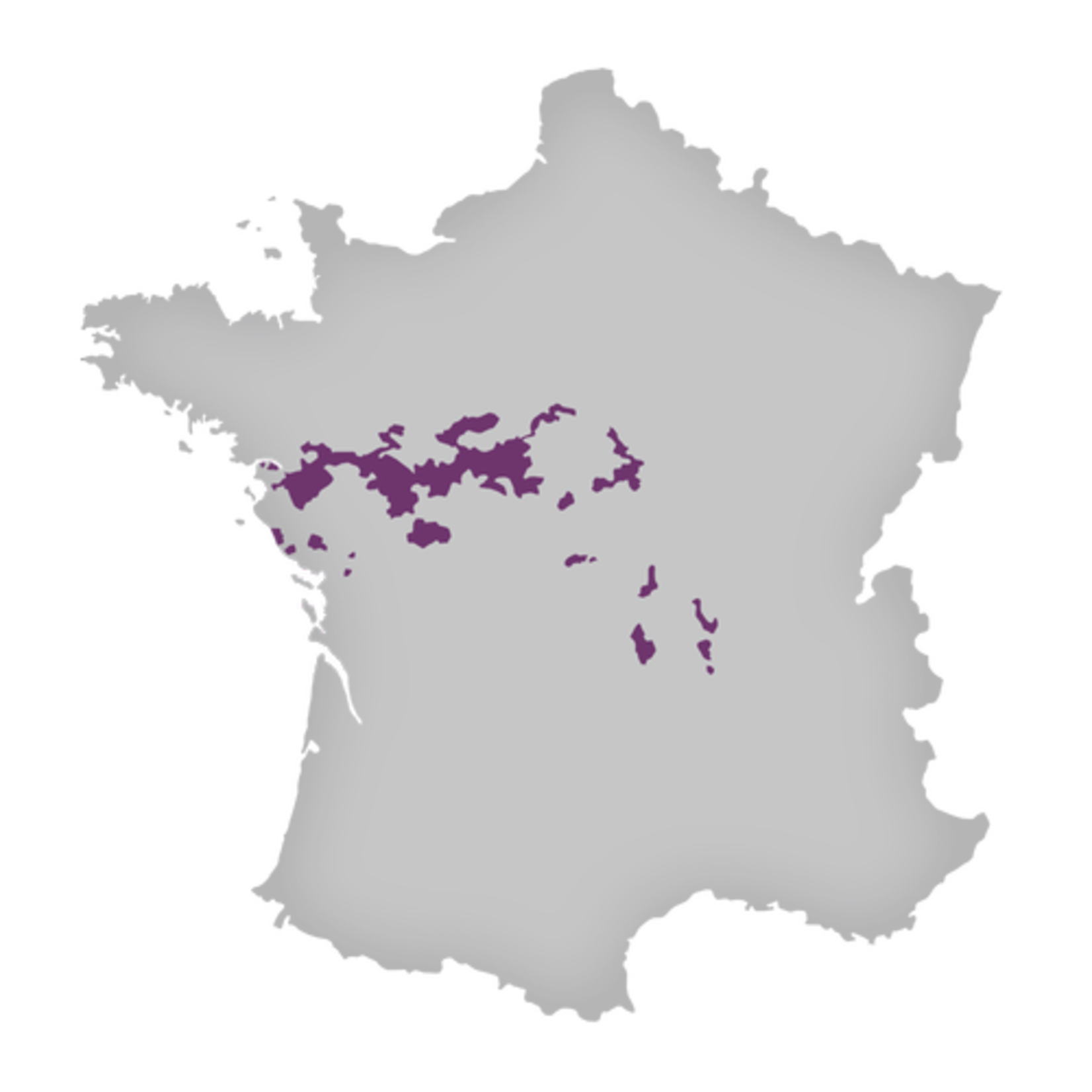 Clos de la Geraudrie Muscadet Sevre et Maine Sur Lie Granite 2022 Loire France