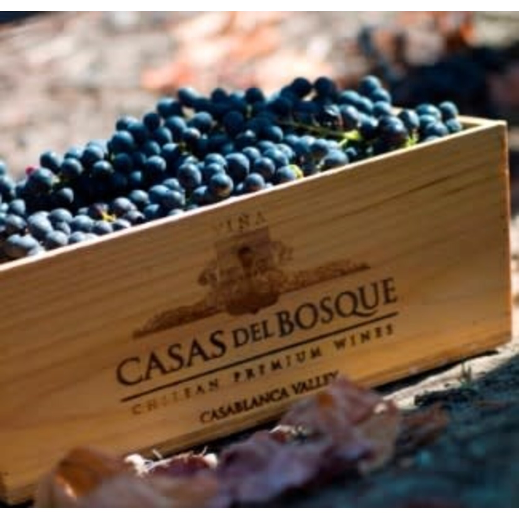 Casas del Bosque Cabernet Sauvignon Reserva 2022 Casablanca Patagonia Chile